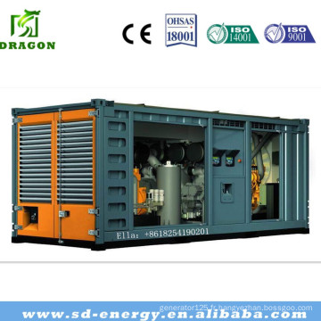 CE & ISO Standard Green Power Water Cooling 300kw Générateur de biogaz
